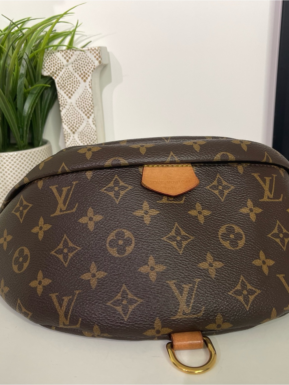 Louis Vuitton Monogram Bumbag